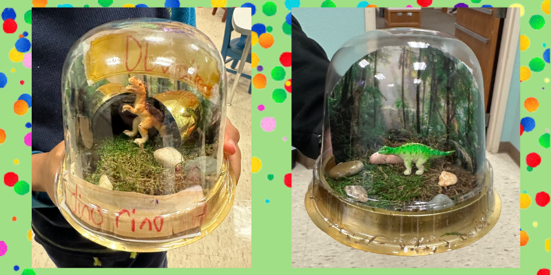 Dinosaur Terrarium photo 2