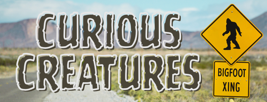Curious Creatures challenge banner