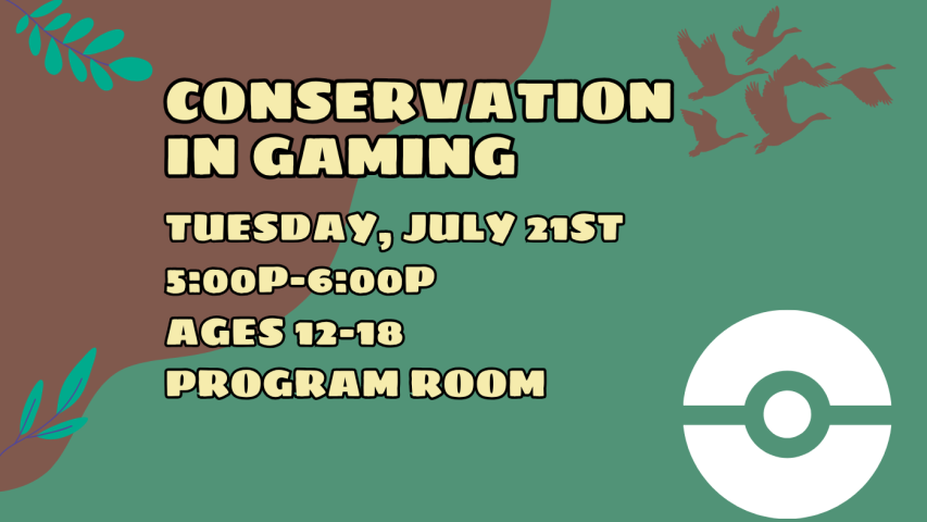Conservation in Gaming